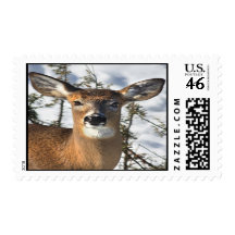 Winter Doe Postage Stamp