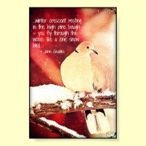 Winter Dove - print posters