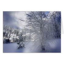 winter drama cards by metrogirl_paris winter drama cards
