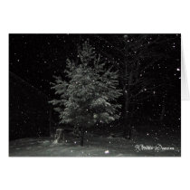 Winter Dream cards