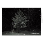 Winter Dream Greeting Card