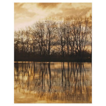 Winter dusk flyer