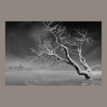 Winter Dusk posters