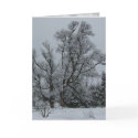 Winter Eve Card