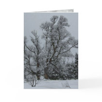 Winter Eve Card by Rockangel1 Winter Eve Card