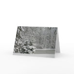 Winter Evergreens Notecard