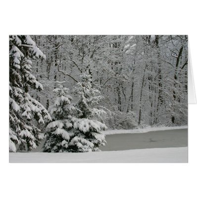 Winter Evergreens Notecard