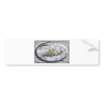 Winter Family Bumper Sticker
