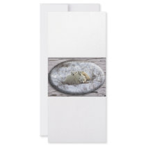 Winter Family Custom Rack Cards