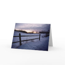 Winter Fence