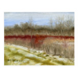 "Winter Field Sketch" oil landscape Postcard