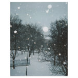 Winter Flakes Letterhead Design