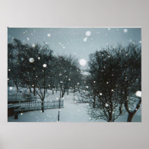 Winter Flakes Print