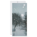 Winter Flakes Rack Card Template