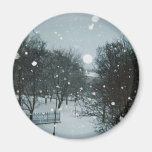 Winter Flakes Refrigerator Magnet