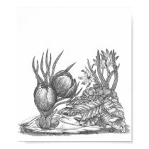 Winter Floral posters