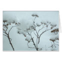 Winter Flowers Folding Card