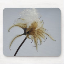 Winter Flowers mousepads