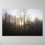 Winter Fog Poster Print