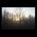 Winter Fog Poster Print