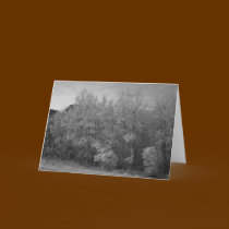 Winter Forest cards