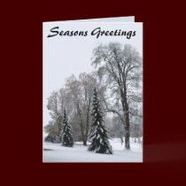 Winter Forest Cards Seasons Greetings Cards cards
