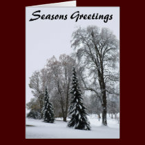 Winter Forest Cards Seasons Greetings Cards cards