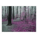 Winter Forest posters by yelly123 Winter Forest posters