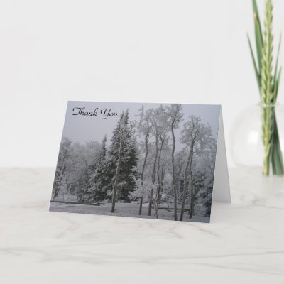 Winter Forest Wedding Thank You Greeting Cards by ChristyWyoming