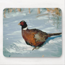 Winter Fowl mousepads
