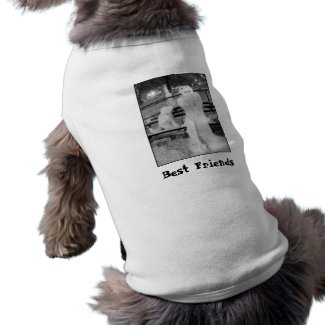 'Winter Friends' Pet T-shirt
