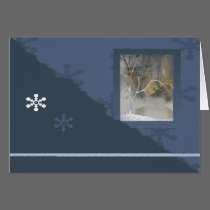 WINTER FUN cards