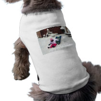 Winter Fun pet clothing