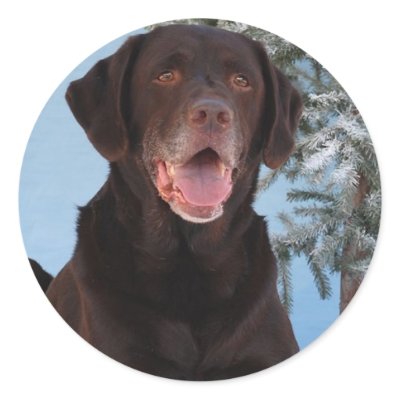 Winter Games Labrador Retriever Stickers by evisionarts