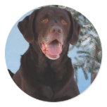 Winter Games Labrador Retriever stickers