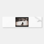 Winter Garden Bumper Sticker