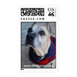 Winter Gio Stamps