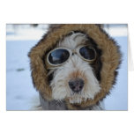 Winter Glamour cards