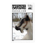 Winter Goat Postage Stamps