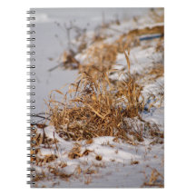Winter Grass Notebook