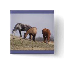Winter Grazing buttons