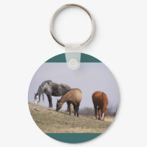 Winter Grazing keychains