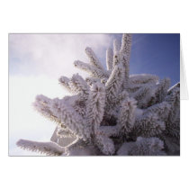 Winter Greeting Greeting Cards