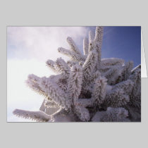 Winter Greeting cards