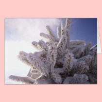 Winter Greeting cards