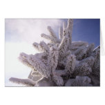 Winter Greeting cards