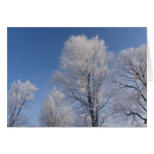 Winter Greeting Card