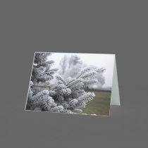 WINTER GREETINGS cards