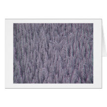 Winter Greetings Cards