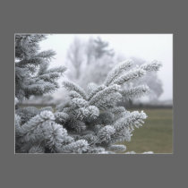 WINTER GREETINGS postcards